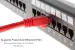 CAT6A Ethernet Patch Cable, Half-moon Boot, UTP, 2ft, Red