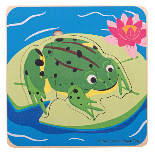 Lifecycle Layer Puzzle - Frog