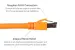 CAT8 Shielded Ethernet Patch Cable, 40Gbps, Snagless, 7 ft, Orange