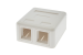 RJ45 Blank Surface Mount Box, 2 Port, White
