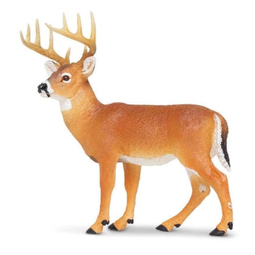 Whitetail Buck (Wild Safari North American Wildlife)
