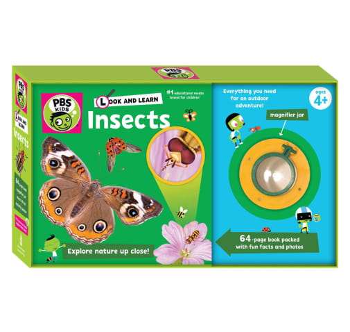 Insects (Look and Learn)