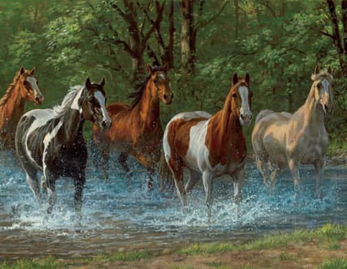 Springbok Summer Creek Puzzle (500 pieces)