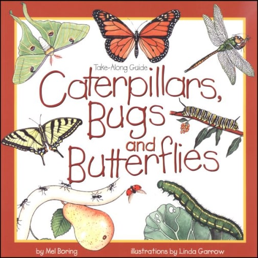 Caterpillars, Bugs and Butterflies (Take-Alon