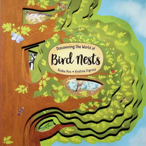 Discovering the World of Bird Nests