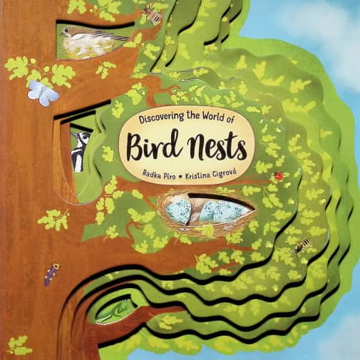 Discovering the World of Bird Nests