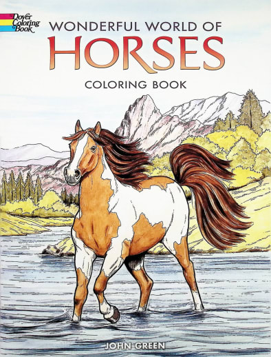 Wonderful World of Horses Coloring Book