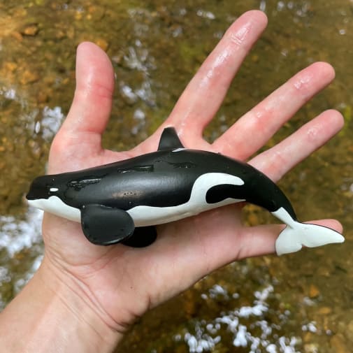 Orca Type D Toy