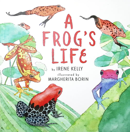 Frog's Life