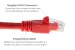 CAT6A Ethernet Patch Cable, Half-moon Boot, UTP, 2ft, Red