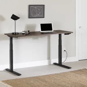 Electric Adjustable Height Standing Desk