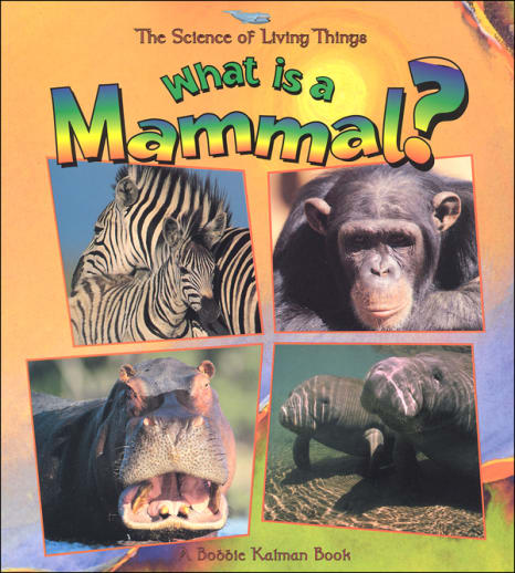 What is a Mammal?