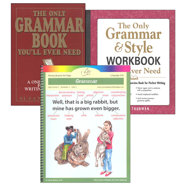 High School 1 Grammar Part 1 Literature Unit Package