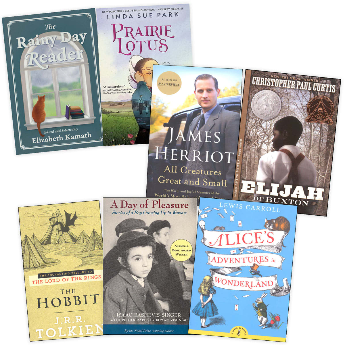 Lightning Literature Level Storm Literature Only