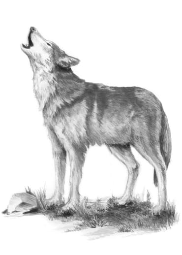 Mini Sketching Made Easy - Howl