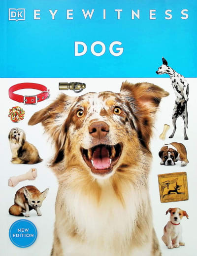 Eyewitness: Dog