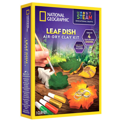 Leaf Dish Air-Dry Clay Kit (National Geographic)