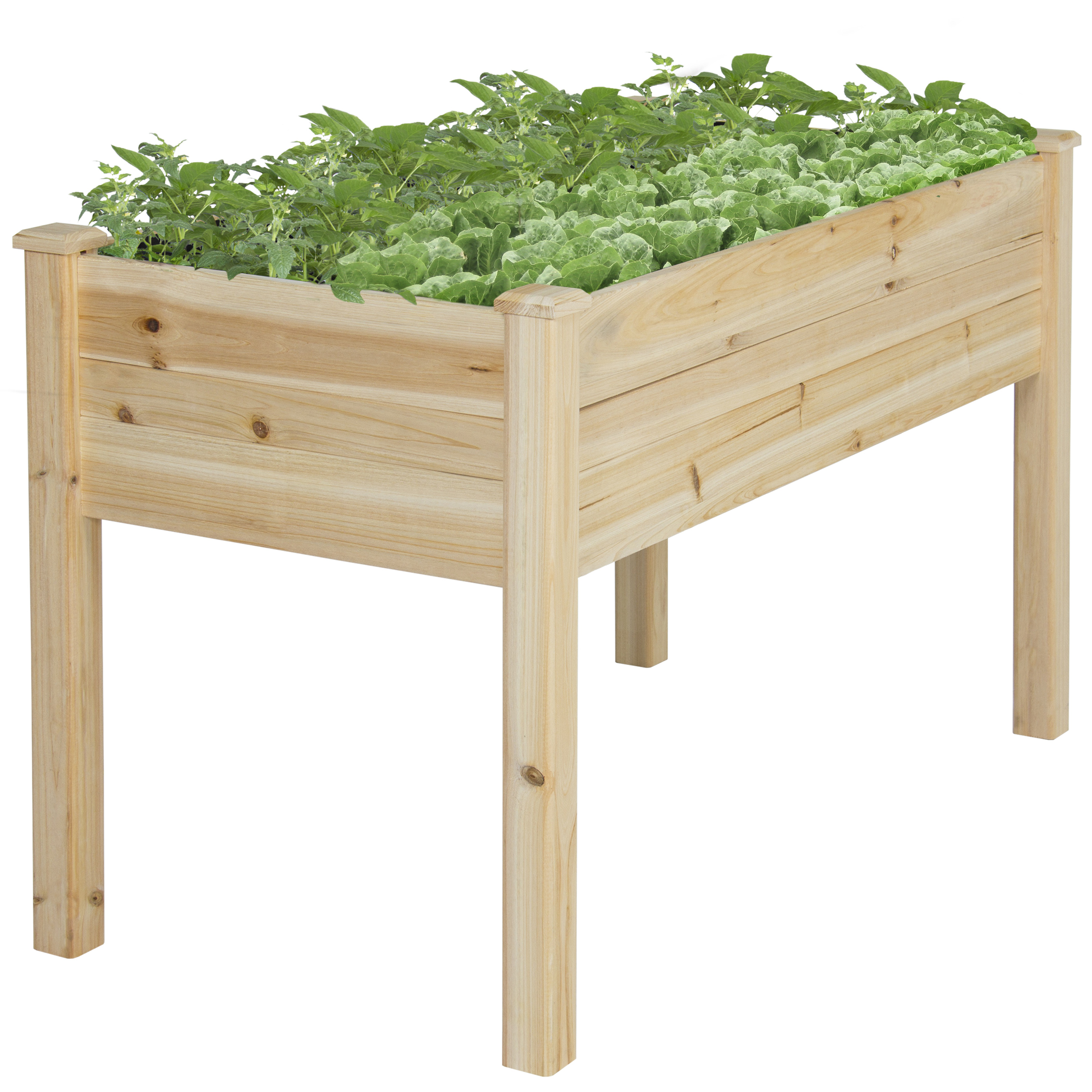Rectangular Wooden Raised Garden Bed