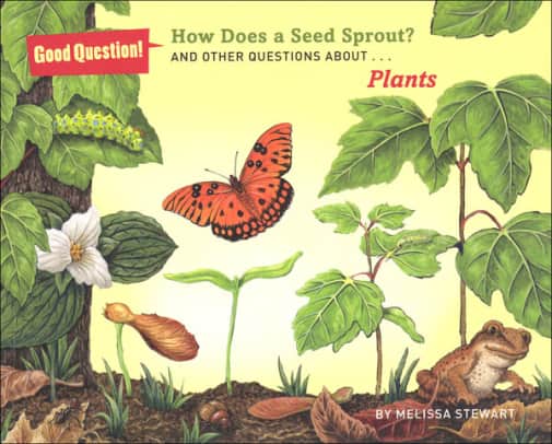 How Does a Seed Sprout? And Other Questions About Plants (Good Questions!)