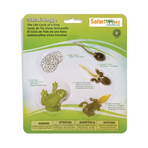 Life Cycle of a Frog Set (Incredible Creatures)