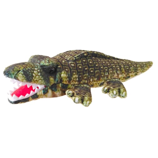Little Creatures: Alligator