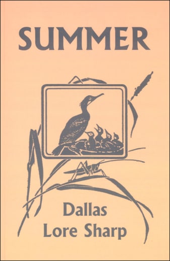 Summer by Dallas Lore Sharp