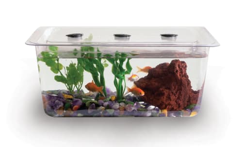 Student Aquaria/Terraria Tank & Cover - 1.5 Gallon