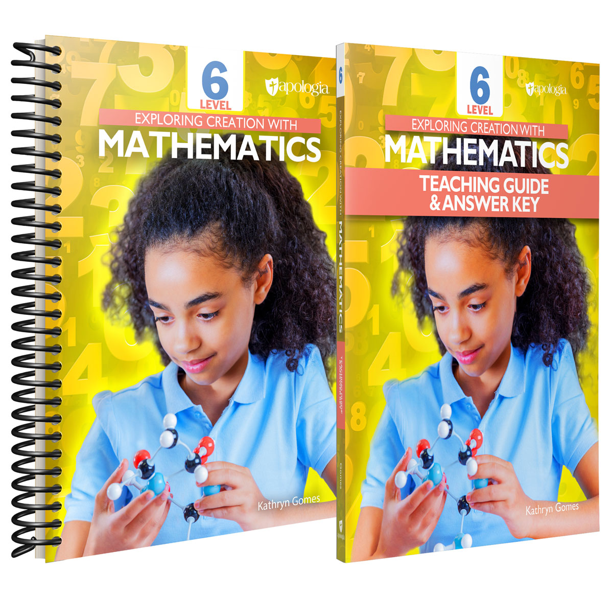 Exploring Creation with Mathematics Level 6 Set