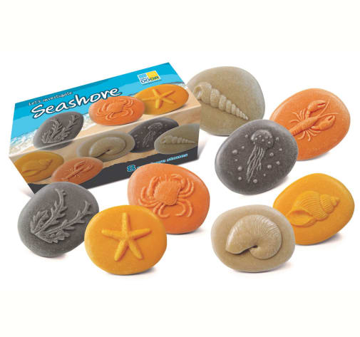 Let's Investigate - Seashore