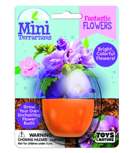 Fantastic Flowers (Mini Terrarium)