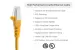 Cat5e Shielded Ethernet Patch Cable, Half-moon Boot, 2 ft, Yellow