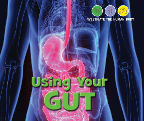 Using Your Gut (Investigate the Human Body)