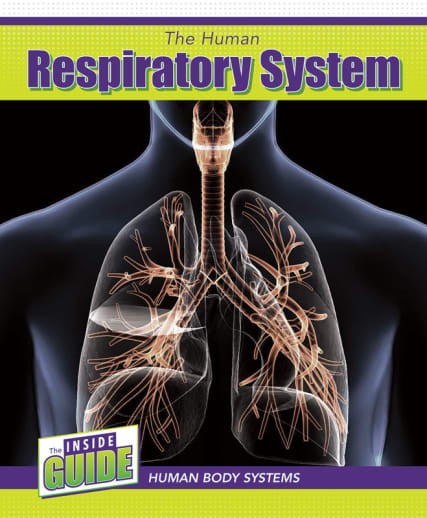Human Respiratory System (Inside Guide: Human Body Systems)
