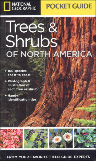 Pocket Guide to Trees and Shrubs of North America