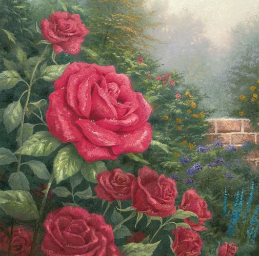 Medium Paint by Number - Perfect Red Rose (Kinkade)