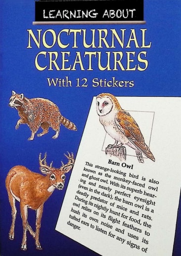 Learning About Nocturnal Creatures