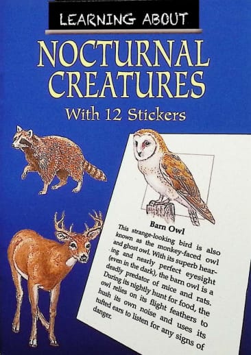 Learning About Nocturnal Creatures