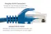 Cat6 Ethernet Patch Cable, Snagless, UTP, 3 ft, Blue
