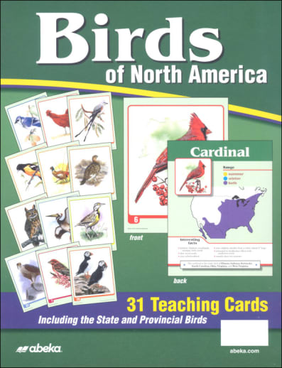 Abeka Birds of North America Teaching Cards 4-7