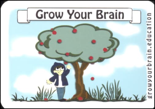 Grow Your Brain Cards