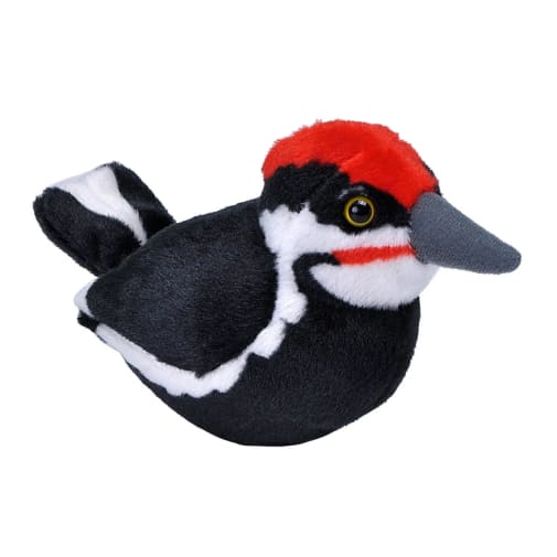 Audubon Bird: Pileated Woodpecker With Real Bird Call