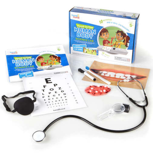 Head-to-Toe Human Body Science Lab