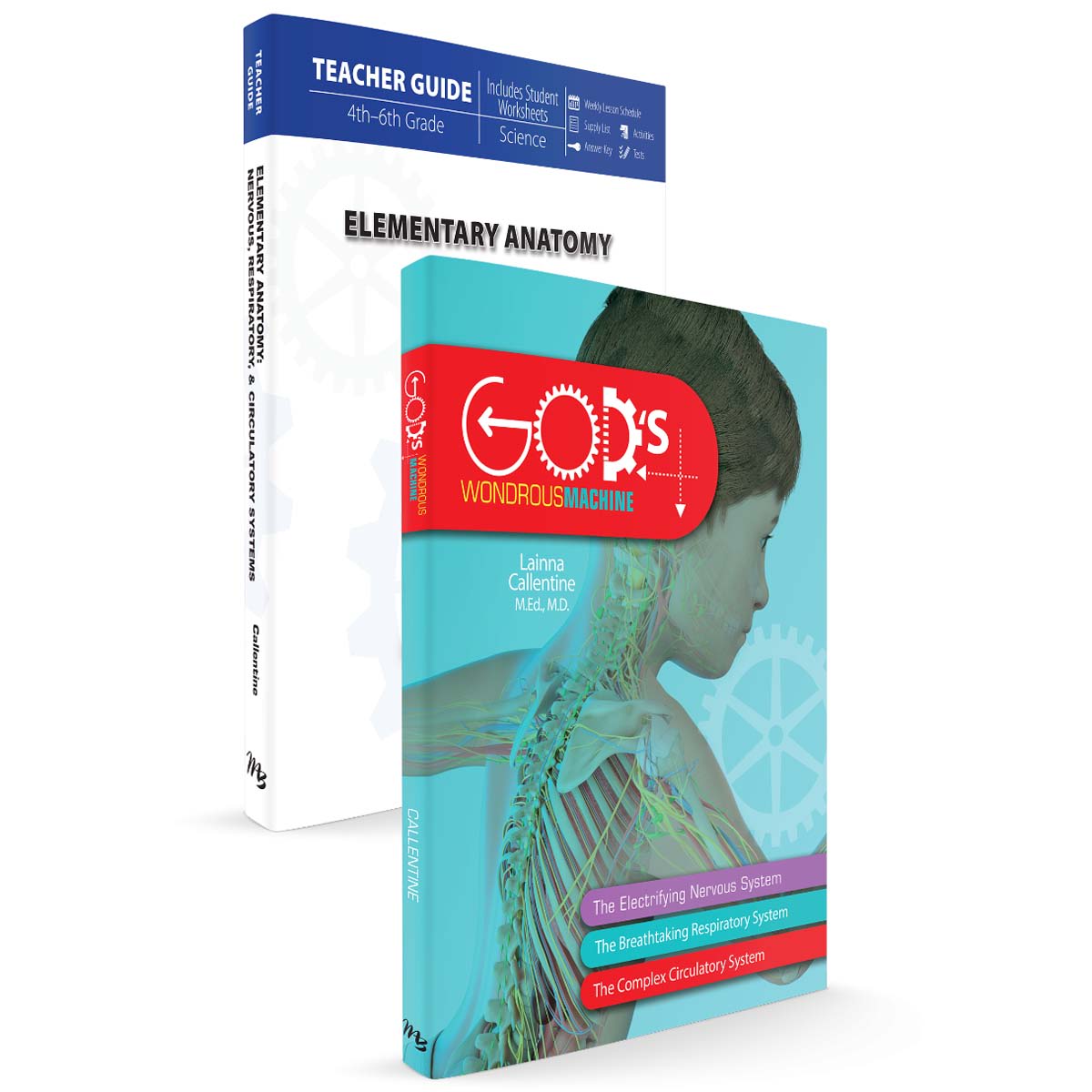 Elementary Anatomy: God's Wondrous Design