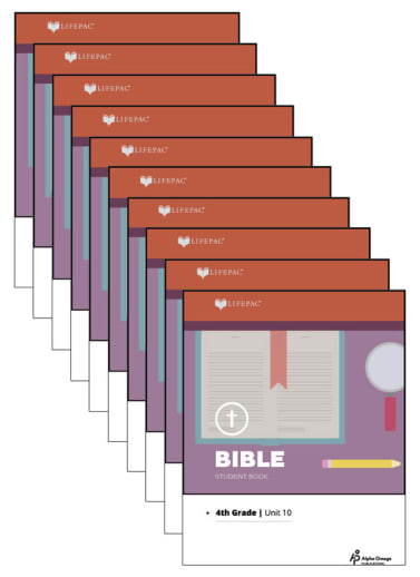 Bible 4 Lifepacs Only