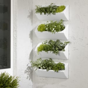 Dalya - Outdoor Wall Planter – Set of 4 Dalya - Outdoor Wall Planter – Set of 4