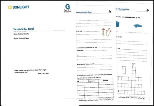 Science Level G 4-Day Extra Activity Sheets (2020)