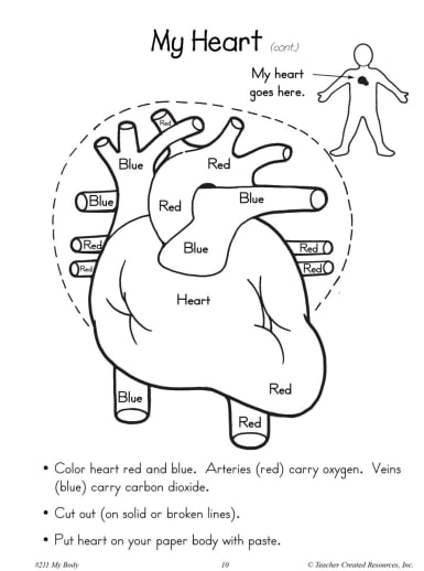Teacher Created Resources My Body Coloring Book