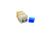 Cat5e Tool Less RJ45 Keystone Jack, Ivory
