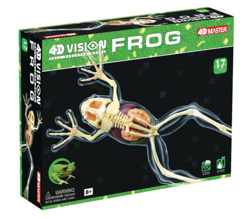 4D Vision Full Skeleton Frog