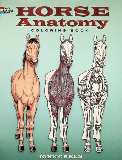 Horse Anatomy Coloring Book